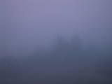 04 : 49