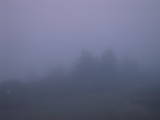 04 : 53