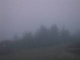 05 : 01