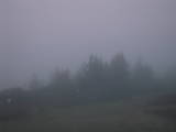 05 : 05