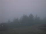 05 : 09