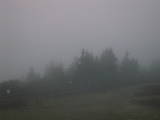 05 : 41