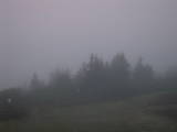 06 : 01