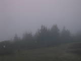 06 : 05