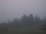 06 : 09