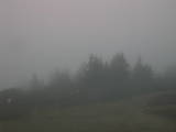 06 : 29