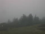 08 : 35
