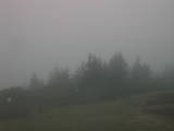 08 : 39