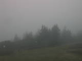 08 : 41