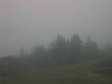 08 : 45