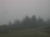 08 : 49