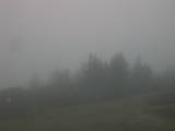 09 : 03