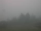 09 : 29