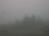 09 : 41
