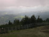 16 : 25