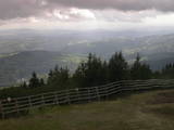 16 : 49