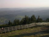 19 : 49