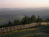 20 : 19
