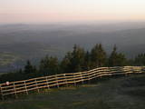 20 : 29