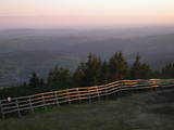 20 : 41