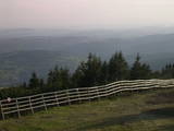 19 : 29