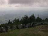15 : 29
