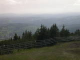 16 : 25