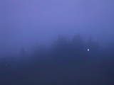 03 : 49