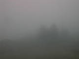 15 : 29