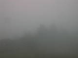 15 : 41