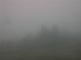 15 : 49