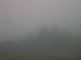 15 : 53