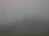 16 : 17