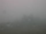 16 : 29