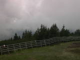 17 : 17