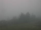 19 : 25