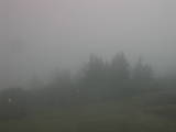 19 : 33