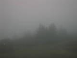 20 : 33