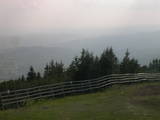 17 : 29