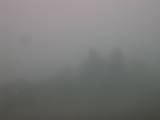 08 : 29