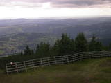 16 : 29