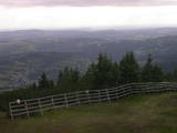 17 : 25