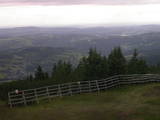 17 : 29