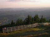 20 : 19