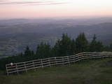 20 : 35