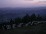21 : 29