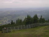 16 : 25