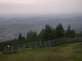 19 : 29