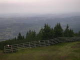 19 : 33