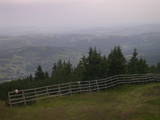 19 : 49